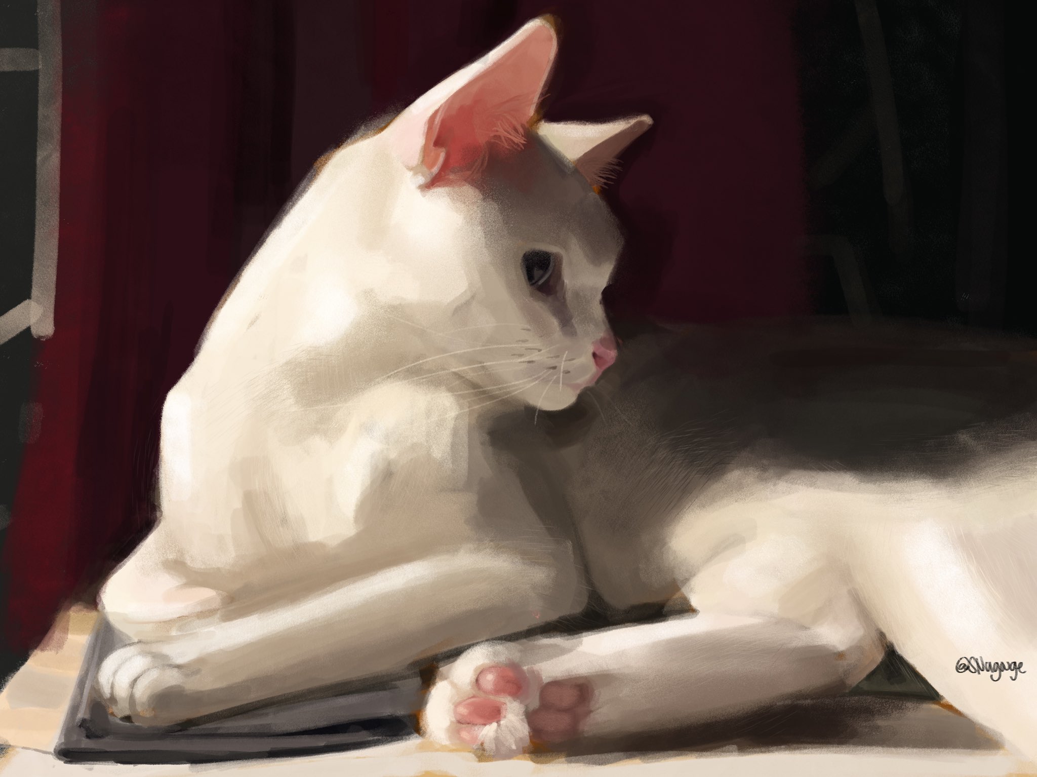 a close up portrait of a white cat with pink paws and nose, lying down and looking away from the camera. the cat is in focus and the background is blurred.