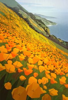 the image shows a beautiful field of blooming orange poppies on a hillside overlooking the ocean. the scene is bathed in sunlight and the colors are vibrant. the perspective is from above, looking down on the field of flowers and out to the ocean.