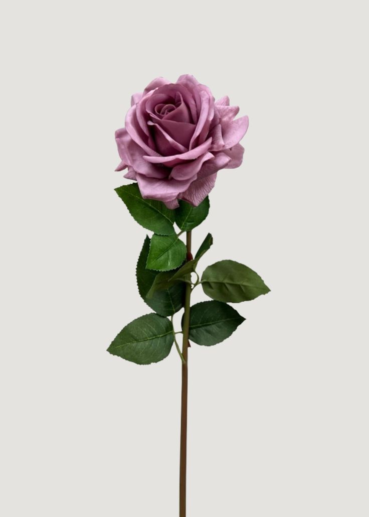 a single purple rose is centered in the frame against a plain background. the rose is in full bloom, showcasing its numerous soft, velvety petals. the petals have a slightly muted, dusty quality, and the rose has a tightly closed center. the rose sits atop a long, straight, dark brown stem. several green leaves are attached to the stem, adding a touch of nature and contrast to the overall composition. the leaves appear realistic with detailed veining and a glossy surface. the overall impression is that of an artificial or faux flower used for decoration or display. the image captures the elegant and timeless beauty of a rose in a simple yet effective manner.