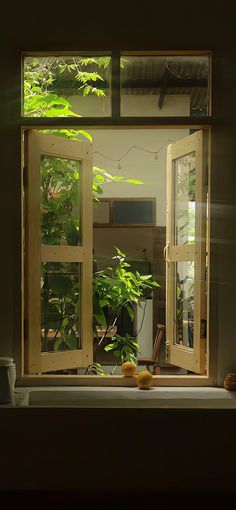 the image shows a window with wooden frames. the window is open and we can see green plants and lemons on the windowsill. the sunlight shines through the window.