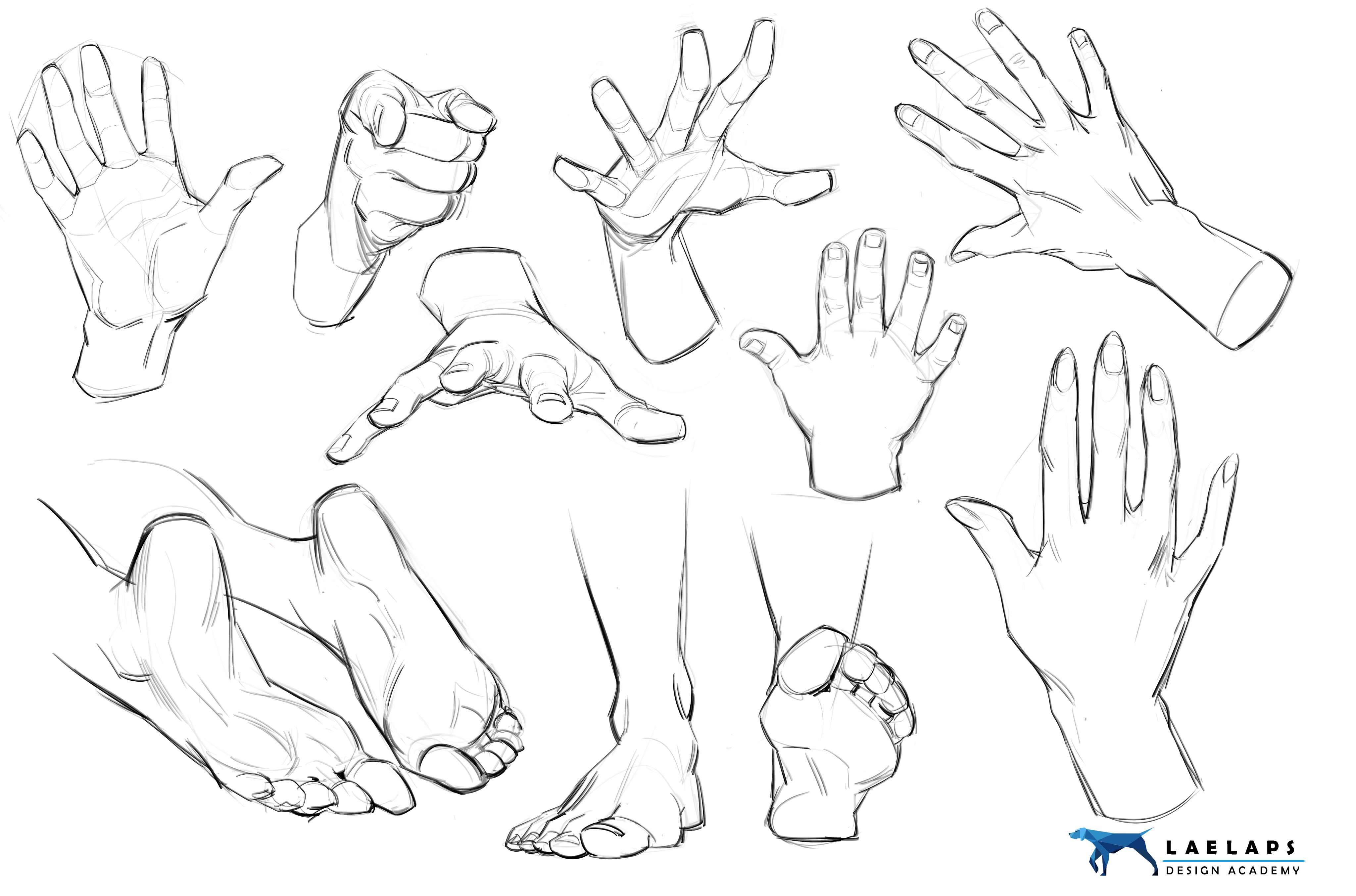 the image contains a collection of various pencil sketches of hands and feet in different poses and perspectives.  the sketches are done in a loose, dynamic style, emphasizing gesture and form rather than precise detail.  the style suggests it is likely a study of human anatomy for artists, possibly from a design academy (laelaps design academy is watermarked). the drawings appear to be practicing a range of poses, capturing the movement and articulation of hands and feet.