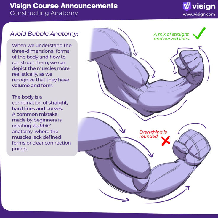 the image is a tutorial on how to draw anatomy. the left side of the image shows the correct way to draw a muscle using both straight lines and curves. the right side of the image shows the wrong way to draw a muscle, resulting in a “bubble” anatomy, which lacks definition. this is a common mistake made by beginners. the image emphasizes that the human body is a combination of straight lines and curves, and that using only rounded shapes will result in an unrealistic drawing.