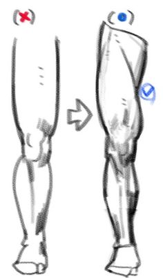 the image is a beforeandafter comparison drawing of a leg. the left side shows a simple outline of a leg, while the right side shows a more detailed version with muscles defined. the image seems to be part of a tutorial on how to draw legs, specifically focusing on muscle structure. there are markings indicating common mistakes and how to correct them.