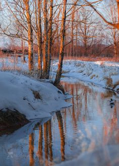 a winter scene with a snowcovered riverbank and bare trees reflecting in the still water. the warm glow of the setting or rising sun casts long shadows and illuminates the scene in golden hues. a lone duck swims in the water, adding a touch of life to the tranquil setting.