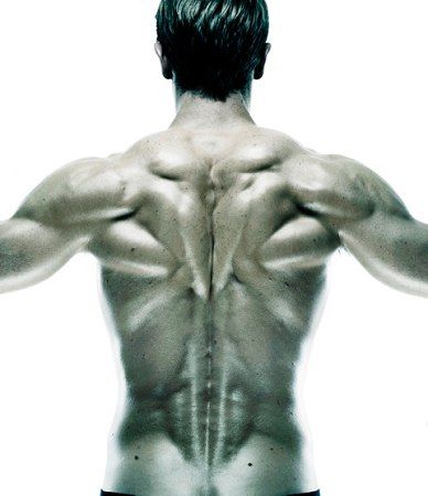 this is a closeup image of a man's muscular back, emphasizing his defined musculature. the image is taken against a white background in a studio setting, highlighting the man's physique.