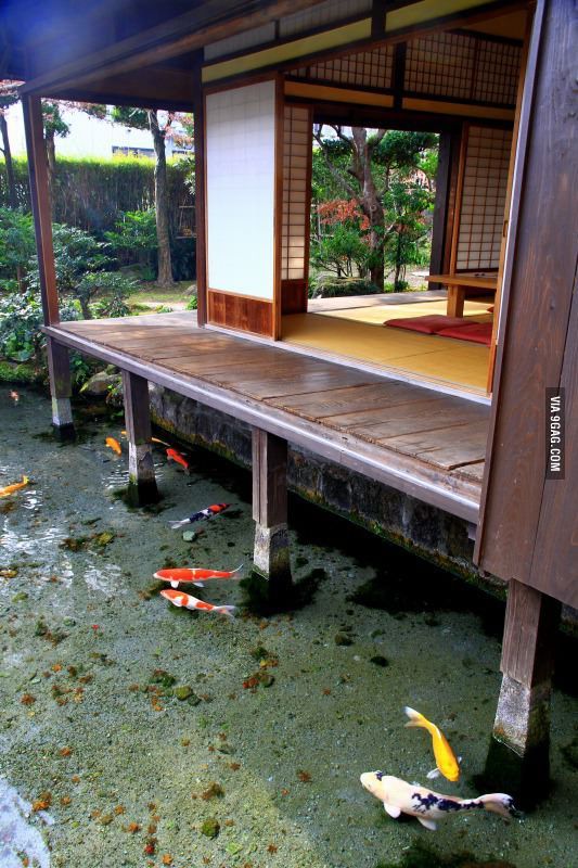 the image shows a japanese garden with a koi pond and a wooden structure. colorful koi fish swim in the pond beneath the structure. the structure has a wooden deck extending over the water, and the interior features traditional japanese elements like shoji screens and tatami mats. the surrounding garden is lush with greenery.