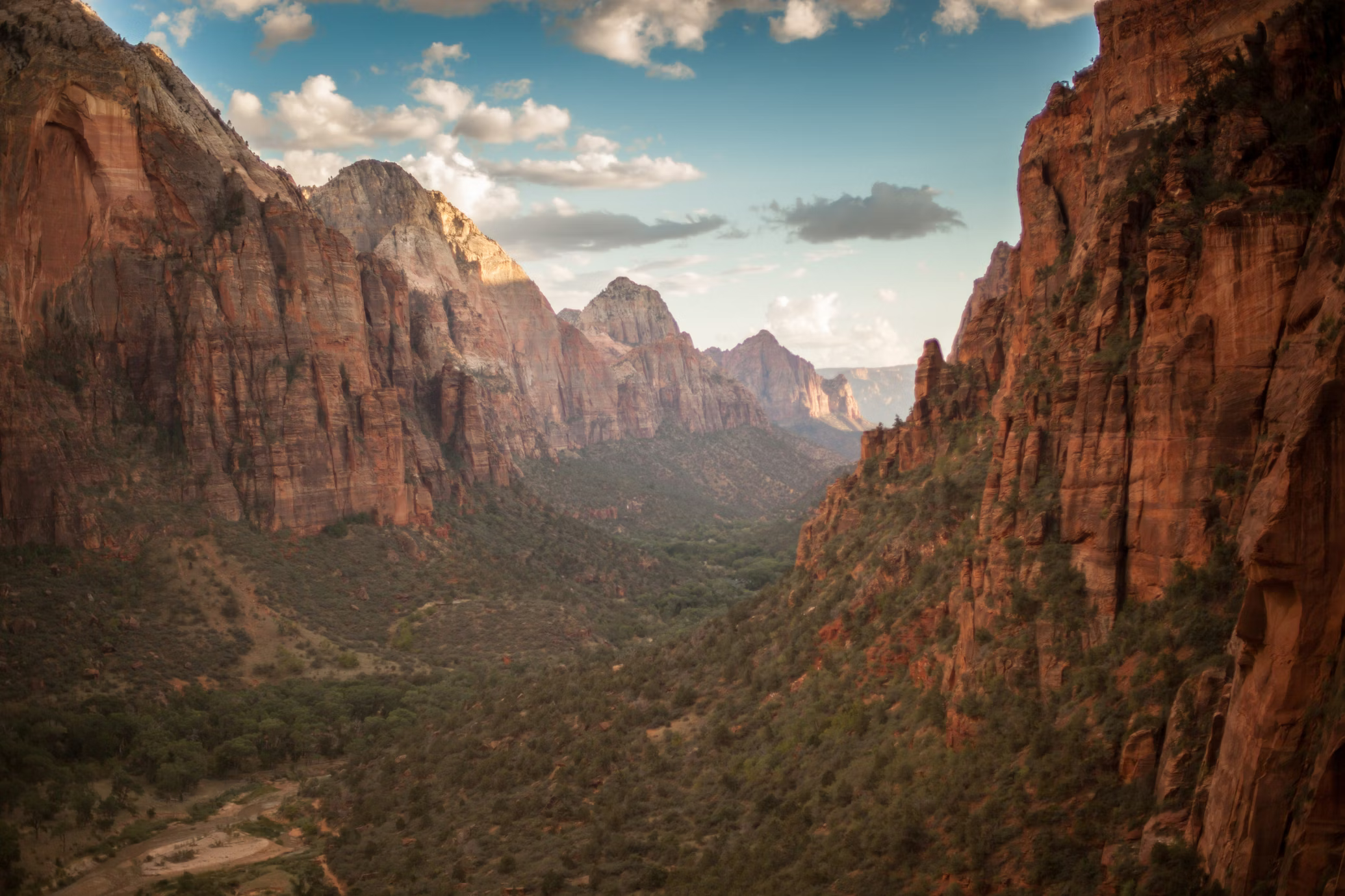 this is a blurred image of a canyon with red rock mountains. the canyon is filled with green trees and vegetation. the sun is shining and there are some clouds in the sky.