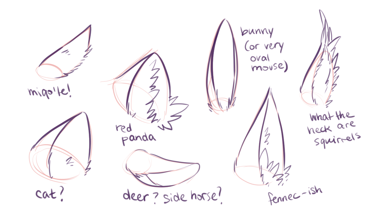 this is a sketch demonstrating different ear shapes for various animals. the ears are drawn in a simplified cartoon style and labeled with the animal they represent.
