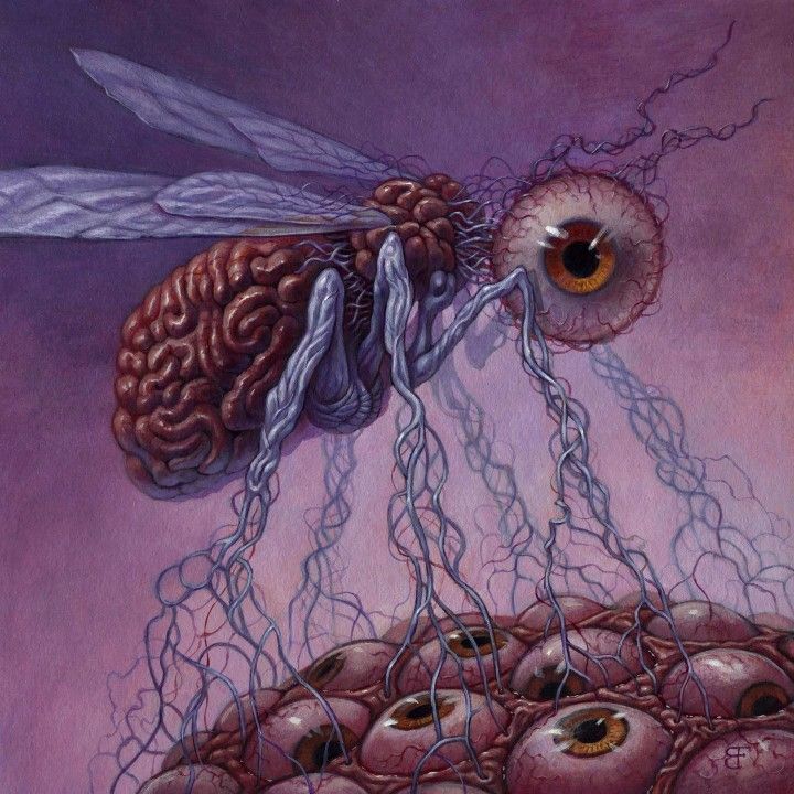 a surreal and grotesque insectlike creature with a large, fleshy brain and one giant eye. its wings are delicate and translucent, and its body is covered in veins and tentacles. the creature stands above a mass of smaller eyes, creating a sense of unease and horror. the painting is done in a dark and moody style, with shades of purple and pink dominating the composition.