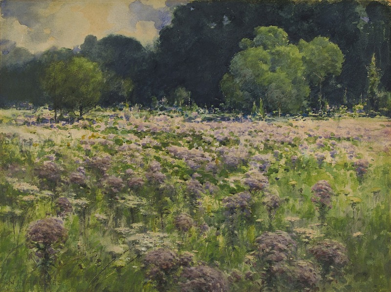 the image is a watercolor painting of a lush meadow filled with purple flowers. the foreground features a field of vibrant purple blossoms interspersed with green grass and white flowers. in the midground, there is a line of green trees marking the edge of a dark, dense forest that recedes into the background. the sky above is partially visible, with patches of pale yellow and faint clouds. the overall impression is that of a serene and idyllic summer landscape.