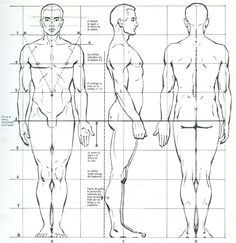 the image shows a sketch of a male figure in three different views: front, side, and back. the figure is drawn on a grid, which helps to illustrate the proportions of the body. there are also some written annotations on the drawing, which appear to be in french.  this type of drawing is commonly used as a reference for artists learning to draw the human figure.