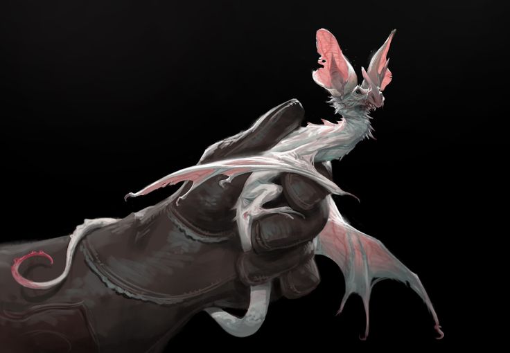 a digital illustration of a pale, batlike creature with pink ears being held in a darkgloved hand against a black background. the creature has a long, slender body, a curled tail, and wings with pinkish membranes. it appears to be a fantasy creature with dragonlike features.