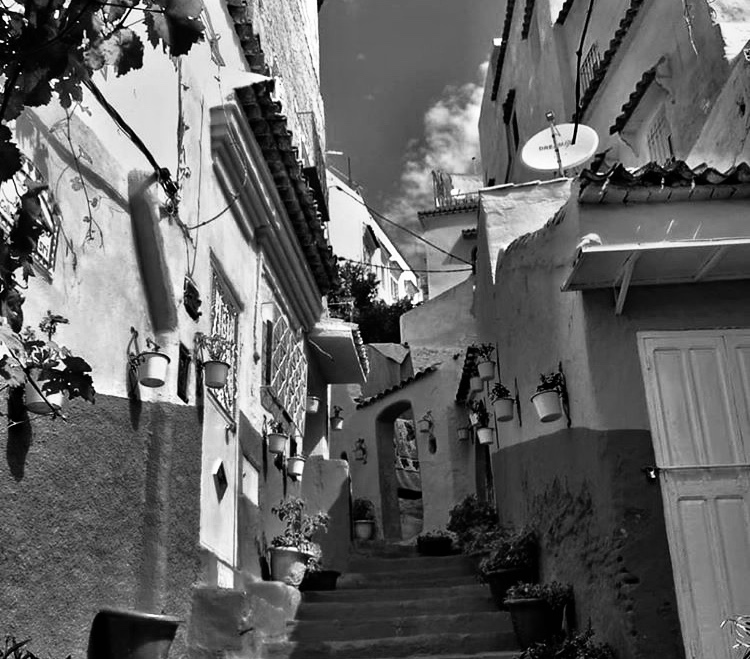 this black and white image captures a narrow alley in a town. the alley features a set of stairs leading uphill between buildings on both sides. the buildings are adorned with potted plants, and a satellite dish is visible on one of the rooftops. the presence of plants and flowers adds a touch of nature to the urban scene.