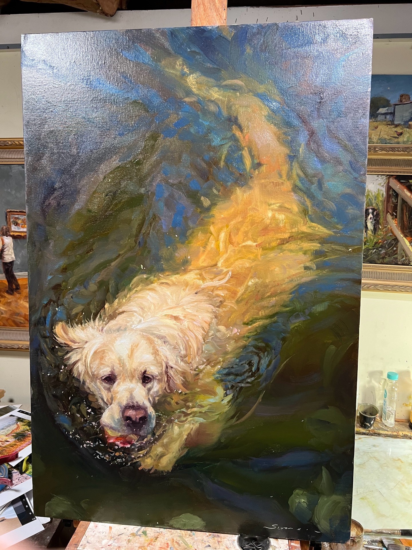 the image shows a large, almost finished oil painting on an easel in an art studio. the painting is a portrait of a golden retriever swimming in a dark, flowing body of water. the dog is depicted in the center, its fur rendered with loose, textured brushstrokes that capture its wet appearance.  the water is painted with a mix of dark greens, blues, and golds, suggesting movement and light reflecting off the surface. the style is impressionistic and realistic, with vibrant colors and a visible impasto technique. the background is slightly blurred, allowing the dog to be the focal point.  other artwork is visible on the walls of the studio in the background.  parts of the artist's workspace, such as a bottle and other materials, are also visible. the painting is signed in the bottom right corner.