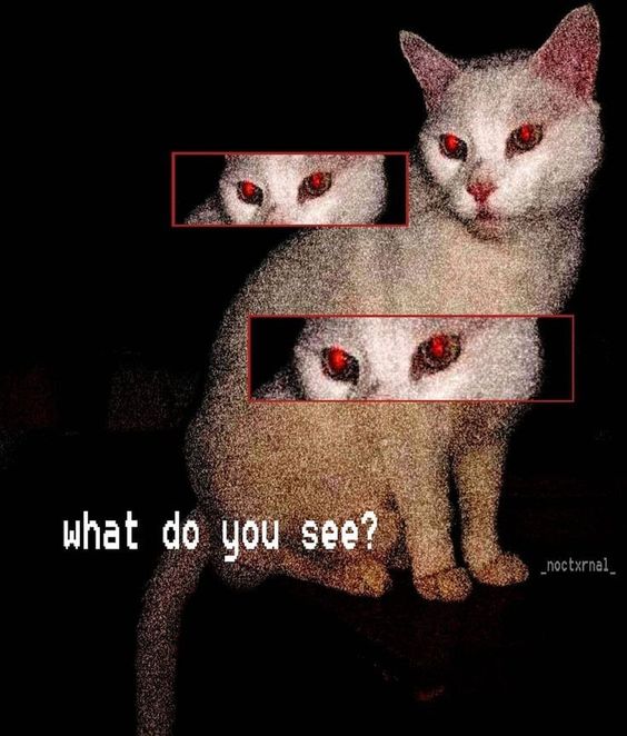 a white cat with piercing red eyes sits against a black background. the image is edited to include multiple sets of the cat's eyes, creating an unsettling and creepy effect.  the overall aesthetic is dark and somewhat eerie.