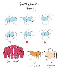 the image is a tutorial on how to draw male pecs (chest muscles). it shows nine different drawings of a male torso from the front view, each with varying positions of the arms and different levels of muscle definition. the drawings are simple and stylized, focusing on the shape and placement of the pectoral muscles. the tutorial also includes text labels with tips and reminders for artists.