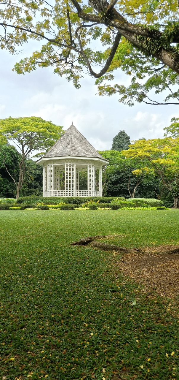 a white gazebo sits in the middle of a lush green garden. the gazebo is surrounded by trees and grass, and the sky is blue with some clouds. the gazebo has a wooden roof and white railings, and there are windows on all sides. the trees are tall and leafy, and the grass is green and lush. the scene is peaceful and relaxing, and it would be a great place to relax and enjoy the outdoors.