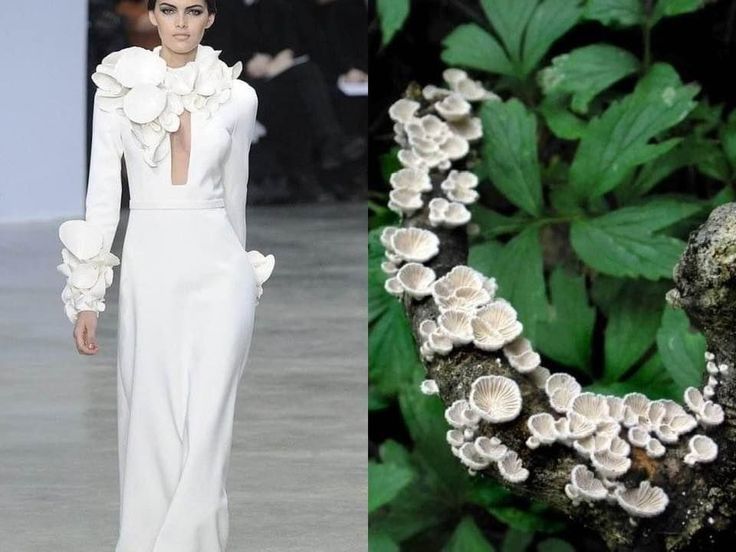 the image shows a fashion model wearing a white dress with a large, sculpted collar and cuffs, inspired by the organic shapes of mushrooms. the left side of the image features the model walking down a runway, showcasing the dress's intricate details and elegant silhouette. the right side of the image displays a closeup shot of a branch covered in white mushrooms, serving as the inspiration for the dress's design. the juxtaposition of fashion and nature creates a visually striking and thoughtprovoking image, highlighting the beauty and inspiration found in both the natural world and the world of haute couture.
