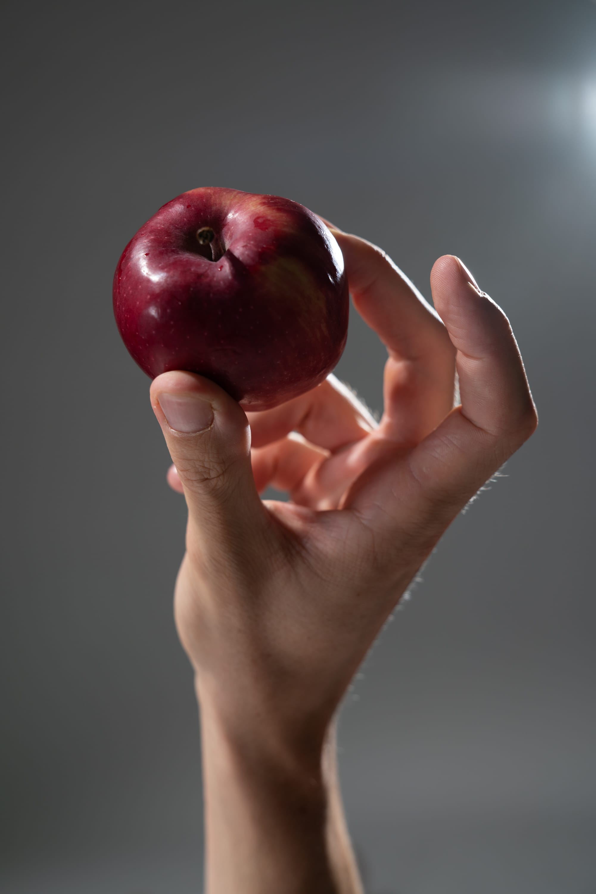 single hand holds a red apple against a gray studio background. the apple is positioned in the palm of the hand, illuminated by soft lighting, creating a closeup perspective on the fresh fruit.