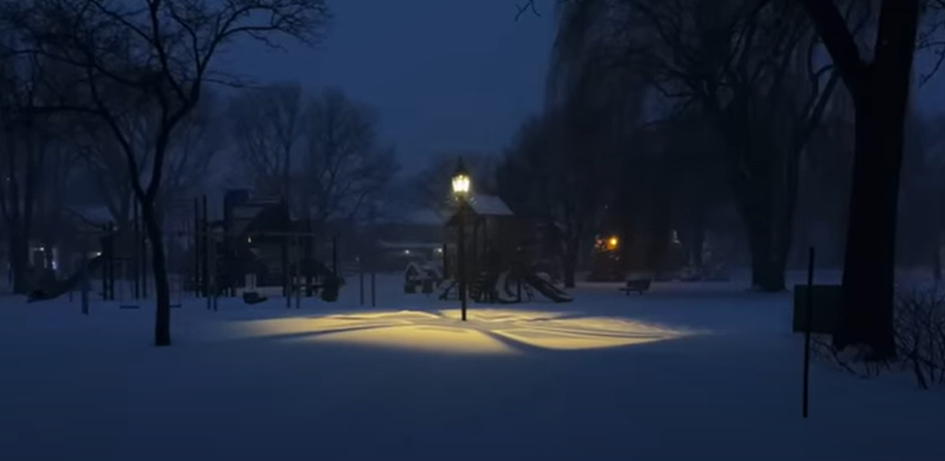 the image shows a snowy park at night.  a single lamppost casts a warm glow on the freshly fallen snow, illuminating a deserted playground with its dark silhouettes of play structures. tall, bare trees surround the park, their branches reaching up into the dark, twilight sky. the overall atmosphere is peaceful and serene, with a sense of quiet solitude. the snow covers the ground evenly, creating a blanket of white against the dark trees and playground equipment. the only light source is the lamppost, which highlights the contrast between the warm light and the cold, wintry scene.