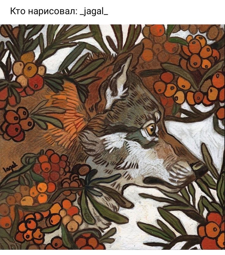 the image is a detailed painting or illustration of a wolf's head and shoulders partially obscured by a thicket of sea buckthorn berries and branches. the artistic style is stylized, with bold colors and clear lines, giving it a somewhat folkart or woodcutlike feel. the wolf is predominantly grey and brown, while the berries are depicted in varying shades of orange and red. the background is a light offwhite, allowing the colors of the wolf and the berries to stand out.  the russian text at the top translates to "who drew this: _jagal_," indicating the artist's username or tag. the overall mood is serene yet slightly wild, evoking a sense of autumnal nature.
