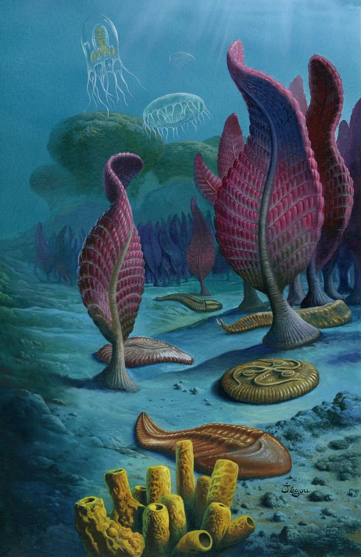 an artist's interpretation of the ediacaran biota, a period of time roughly 635 to 541 million years ago.  the image depicts a variety of extinct marine organisms, including  charnia, dickinsonia, and others, on a seabed. the water is a clear bluegreen, with soft, natural light filtering down from above.