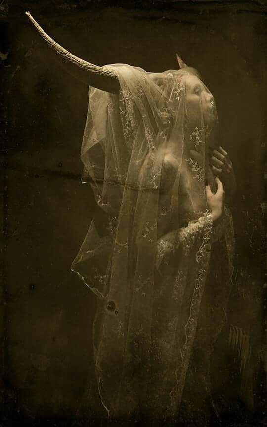 a woman with horns is dressed in a veil, which looks like it is made of antlers. she is draped in darkness and her face is obscured by the veil. the photo is dark, mysterious, and evocative.