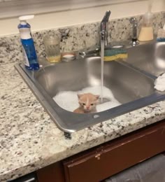 a cute, orange and white kitten is being washed in a sink. the kitten is surrounded by bubbles and foam, and the water is running from the faucet. the kitten looks a little startled, but it is still very cute. the sink is in a bathroom, and there are towels hanging on the wall behind the sink. the kitten is sitting in the sink with its paws up in the air, as if it is trying to get out of the water. this is a very funny and adorable picture of a kitten being washed in a sink.
