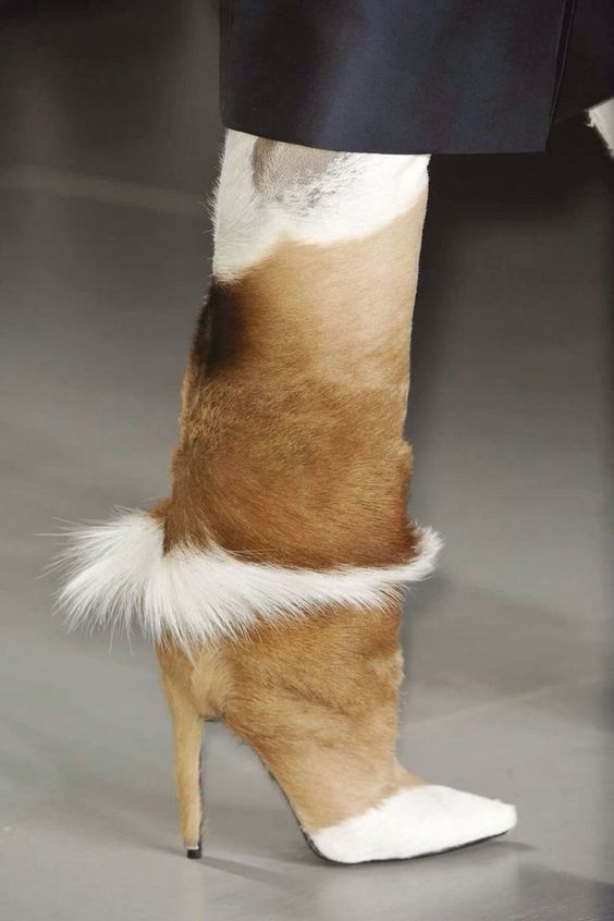 closeup of the top of a woman's leg wearing a pair of fur high heels. the shoes are made from calf skin with white and brown fur. the shoe has a pointed white toe.  the woman's leg is bare and she is wearing a black skirt.