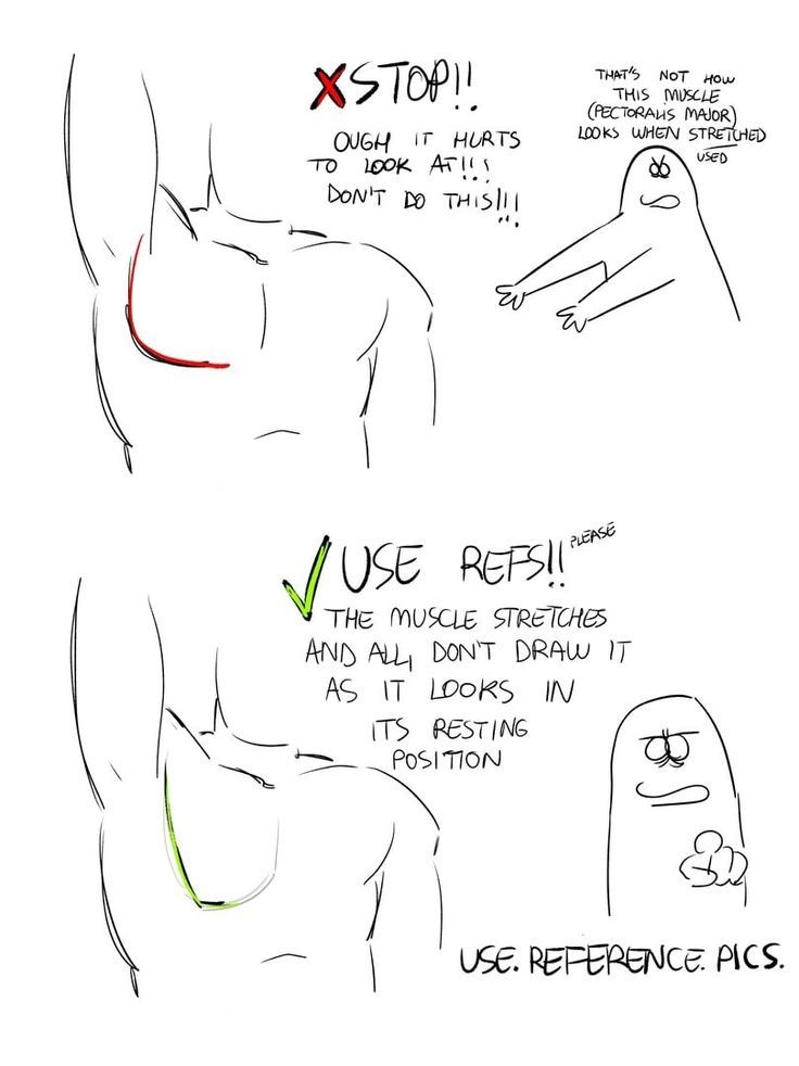 the image is a digital drawing tutorial demonstrating the correct way to draw the pectoralis major muscle. it features two examples: an incorrect depiction showing the muscle unnaturally stretched and an accurate representation based on its resting position. the tutorial emphasizes the importance of using reference images to ensure anatomical accuracy in artwork, highlighting the potential pitfalls of drawing from imagination without proper knowledge of the subject.  a stylized cartoon character accompanies each example to further emphasize the points.