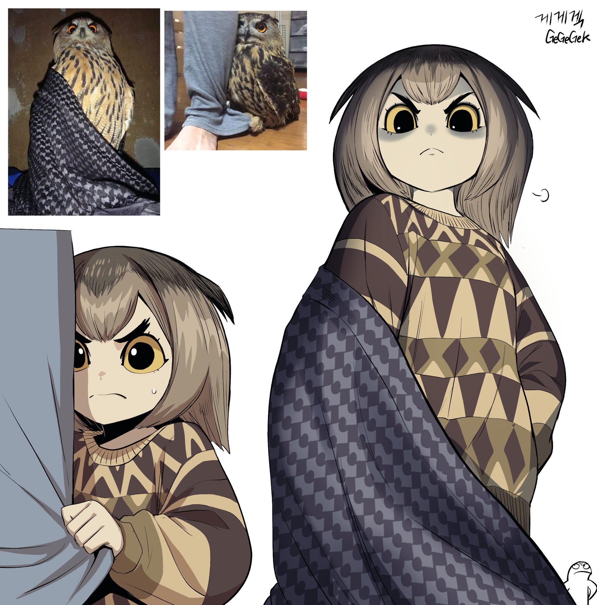 the image shows a drawing of an anime girl based on an owl. the left side has two reference images of an owl, one wrapped in a blanket and another perched next to a person's leg. next to the owl images is the drawing of the anime girl. in one drawing, the anime girl is partially hidden behind a curtain. in the second drawing, she is standing and wearing a sweater with a geometric pattern and has a blanket draped over her. she has short, brown hair with yellow eyes and an angry expression. the drawing style is similar to manga or anime.