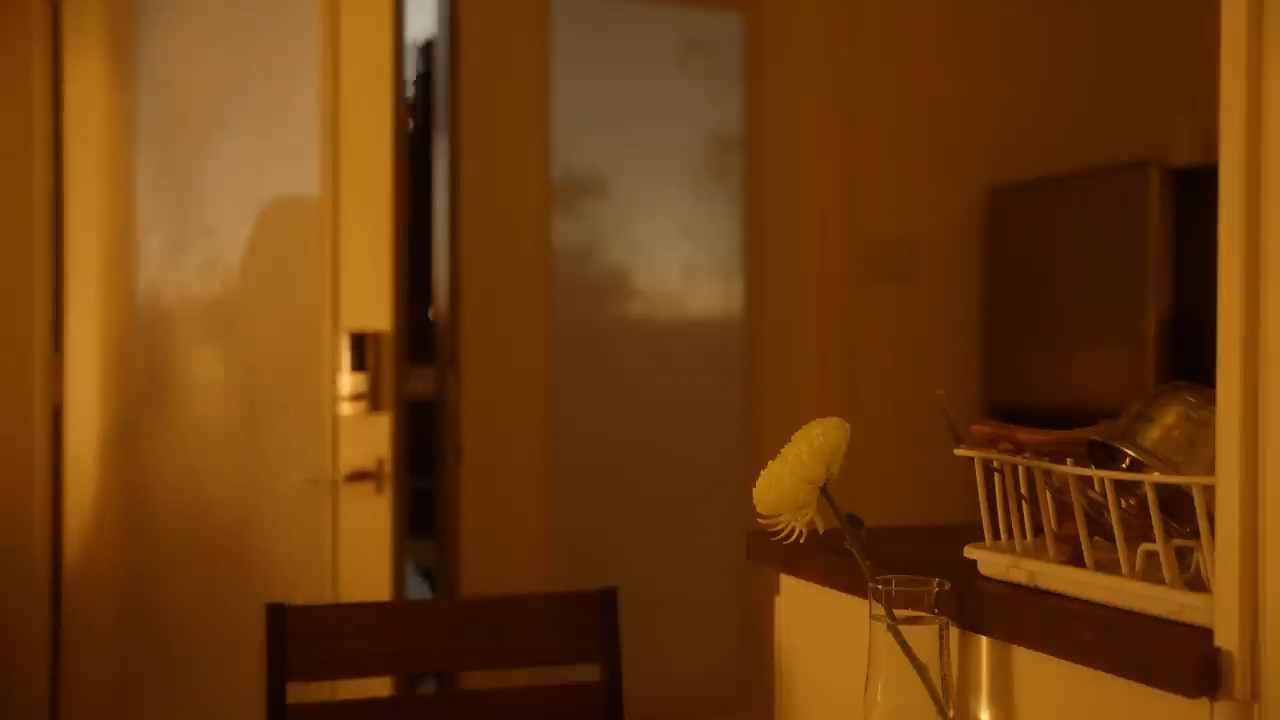 the image shows the interior of a kitchen bathed in warm, golden light. a white carnation in a clear vase sits on the counter in the foreground, along with a dish rack containing a plate and silverware. the walls are painted a light beige, and the light fixtures are not visible in the frame. the overall ambiance is cozy and inviting.