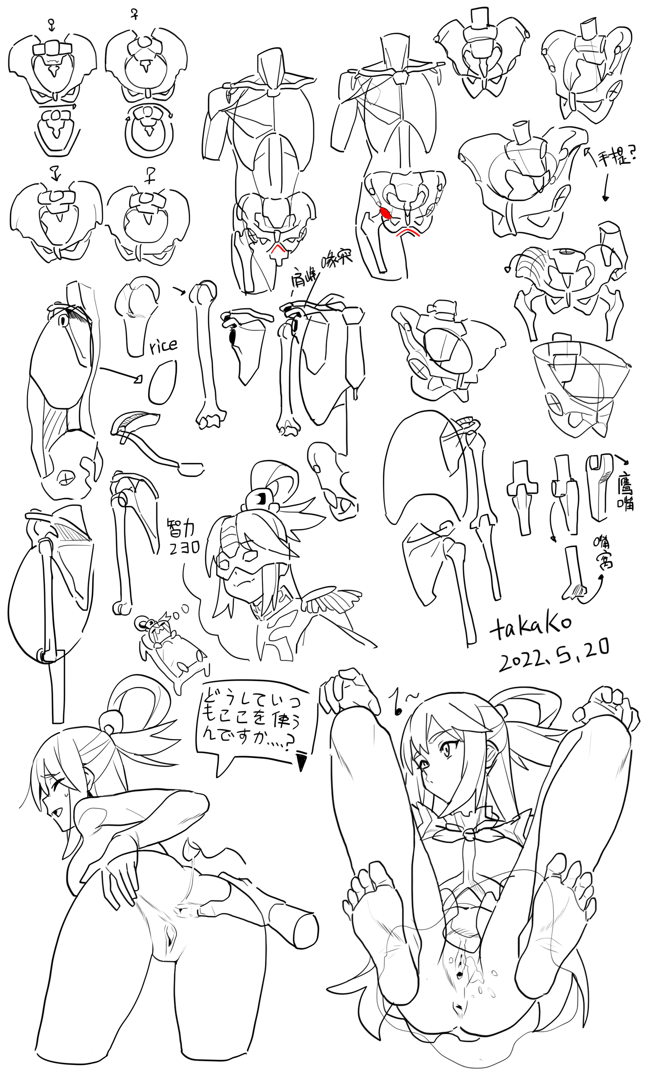 the image contains a sketch of human anatomy, primarily focusing on the skeletal system. it includes various views and diagrams of the pelvis, shoulders, knees, and overall structure of the human body. the sketches are accompanied by animestyle female characters in different poses, some of which are sexually suggestive. there are also handwritten notes and annotations in japanese. the artwork is signed "takako" and dated "2022.5.20."