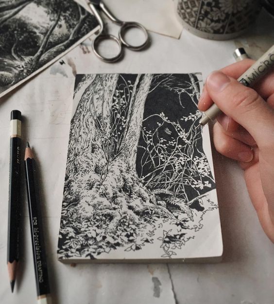 the image is a closeup shot of an artist's hand meticulously creating a detailed monochrome drawing. the drawing depicts a large tree trunk and its roots, surrounded by undergrowth and leaves, indicative of a forest scene. the style of the drawing is realistic and highly detailed, with precise lines and shading creating texture and depth.  the artist is using a fineliner pen and two graphite pencils. the drawing is made on a thick textured paper, which is resting on a table. there are also old postcards and a pair of scissors in the background. the overall aesthetic is vintage and artistic.