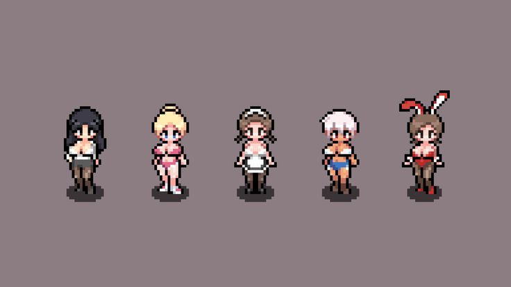 the image shows a lineup of five pixel art women. they are presented in a lowresolution, pixelated style, likely intended for a video game or similar digital media. the women are depicted in various suggestive outfits, including a maid uniform, bunny suit, and swimwear. they are all cartoon style and wearing lingerie.