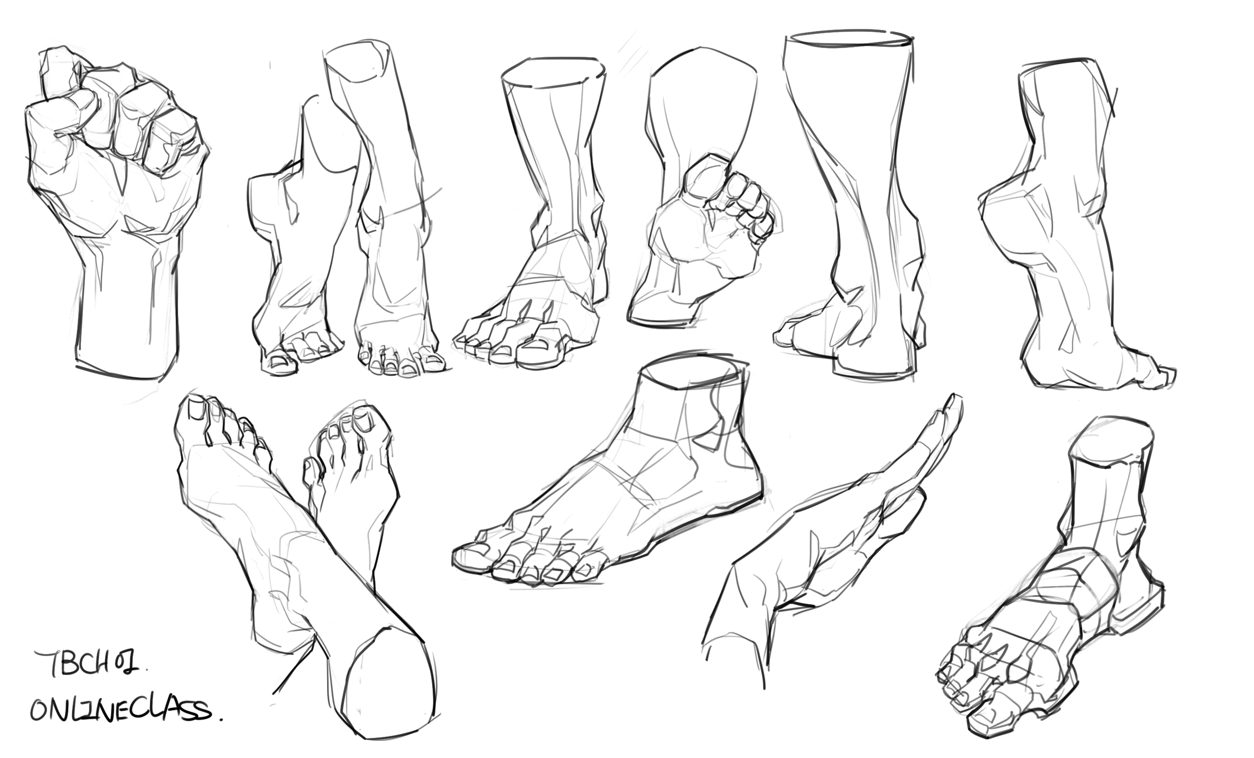 the image contains a collection of quick anatomical sketches focusing on hands and feet.  various poses and angles are shown, demonstrating different views of the musculature and structure of the limbs. the sketches are loose and gestural, indicating a focus on capturing the essence of form rather than precise detail. the style is consistent with a life drawing or anatomy study session.  a watermark or signature "tbch 01 onlineclass" is visible in the bottomleft corner, suggesting the drawings are part of an online course or lesson.  the overall impression is one of dynamic, expressive, and rapidly executed studies aimed at improving anatomical understanding for art purposes.