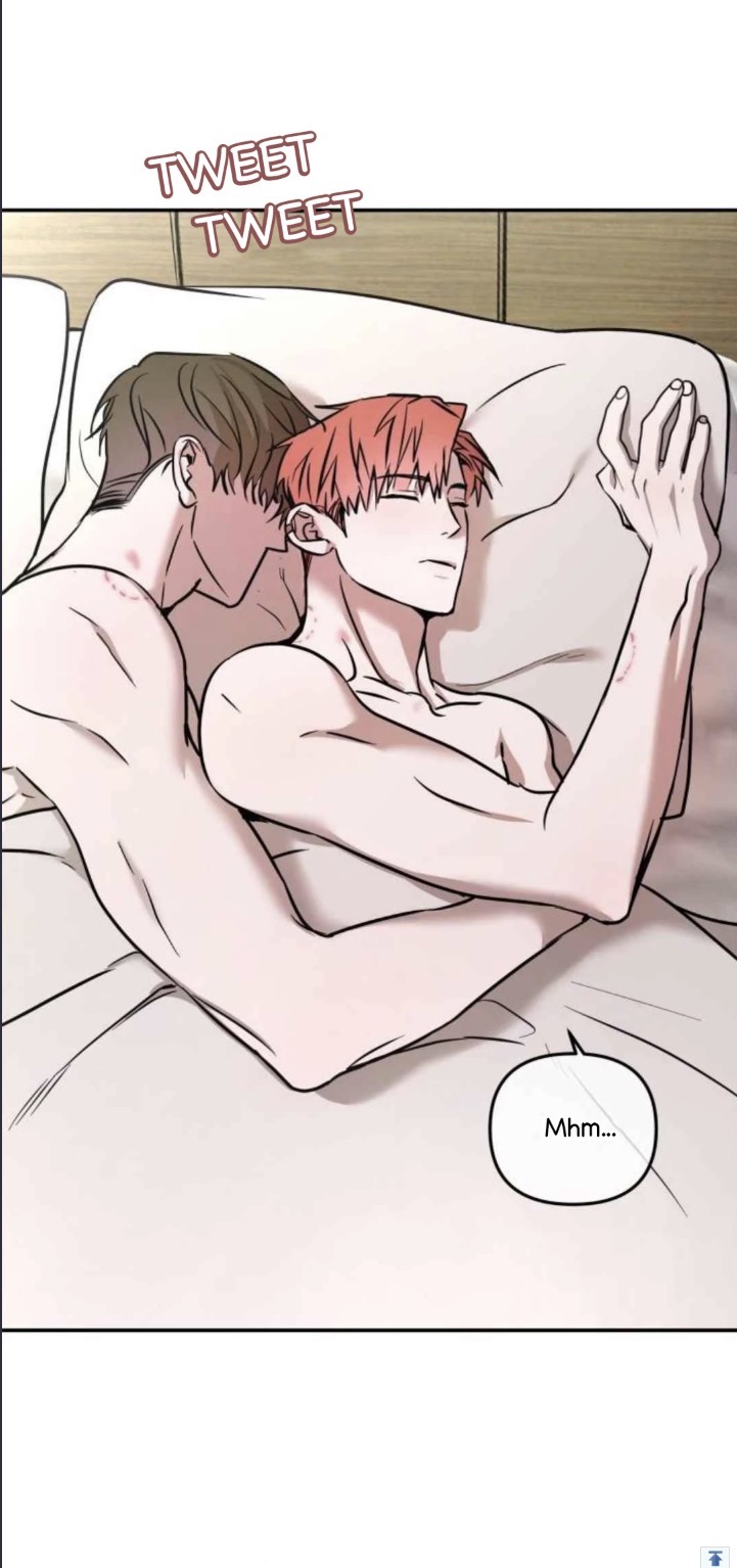 he image is a panel from a manga or manhwa (korean comic). it depicts two young men, one with brown hair and the other with reddishorange hair, intimately cuddling and sleeping in bed together.  they are embracing each other affectionately. the background is a simple depiction of a bedroom with a lightcolored bed and wall.  the word "tweet" is written twice at the top of the panel. a speech bubble with "mhm..." is present near the bottom. the art style is characteristic of many bl manga, with soft lines and a focus on romantic intimacy.
