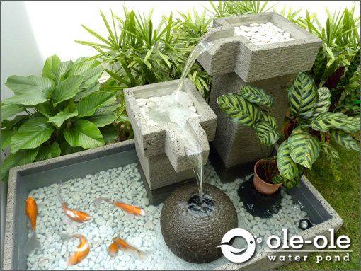 a closeup shot of a modern outdoor koi pond with a tiered concrete fountain. water cascades from the upper levels to a central stone sphere and flows into a pond filled with white pebbles. several orange and white koi fish swim in the pond. lush green plants surround the pond, adding a tropical touch. the logo of "oleole water pond" is visible in the bottom right corner.