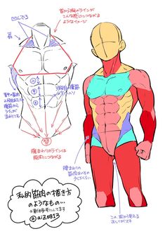 a handdrawn anatomical study of a male torso, illustrating muscle groups. the sketch includes japanese text describing the drawing process and muscle placement. two figures are depicted: one showcasing the skeletal structure and muscle groups, while the other displays a simplified representation of the muscles.
