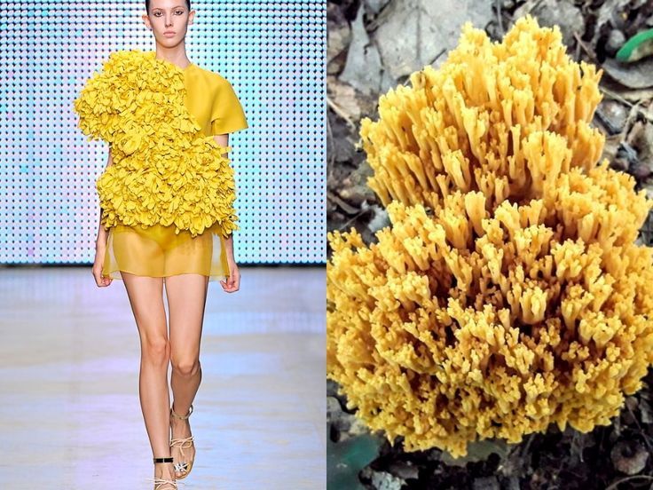 the image shows a split screen. the left side shows a fashion model wearing a yellow dress with a flowerlike design. the right side shows a bright yellow corallike fungus growing on the ground in nature.