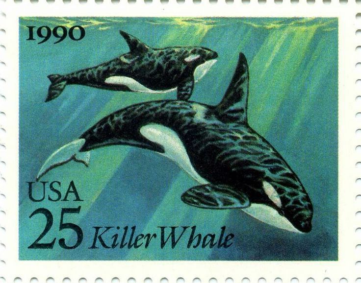a 1990 united states postage stamp depicting two killer whales (orcas) swimming underwater.  the stamp is teal and green, showing the whales in detail against a sunlit background. the text "usa 25 killer whale" is printed at the bottom, indicating the denomination and subject.  the year "1990" is printed in the upper left corner.