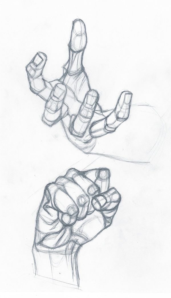 a pencil sketch of two hands. the upper hand is reaching out with the index finger extended, the other hand is making a fist.  the drawing has a lot of detail in the muscles, tendons, and bones of the hands.