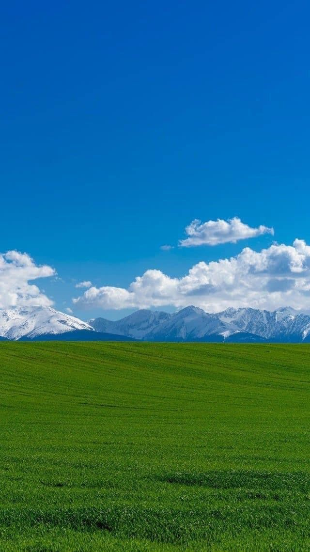 a vertical shot shows a vibrant green field under a clear blue sky dotted with fluffy white clouds. in the background, snowcapped mountains add a majestic touch to the scenic landscape.