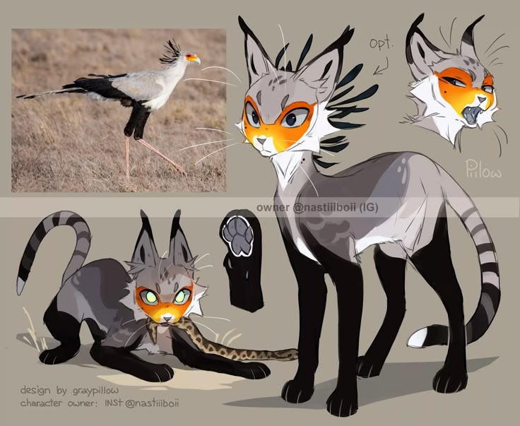 the image shows a character design based on a secretary bird and a cat. the character design includes several views: the fullbody, the head (optional), and a lower shot with a snake. the color palette of the design mimics the bird's gray, black, and orange. the design incorporates catlike features such as pointed ears, whiskers, and a striped tail, and birdlike attributes like black feathers behind the ears and colors around the eyes. an image of a secretary bird serves as a reference.