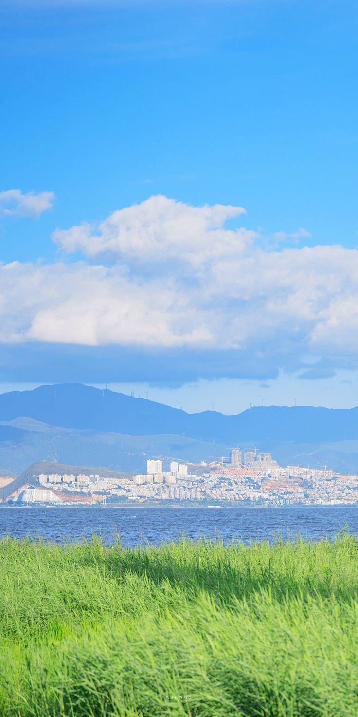 the image shows a green field of tall grass in the foreground, with a body of water behind it. in the distance, there is a city nestled at the base of a mountain range. the sky is blue with some white clouds.