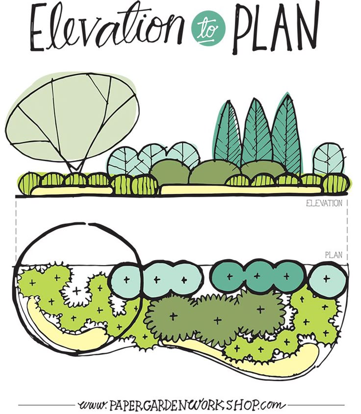 the image shows a handdrawn landscape design elevation and plan view. the top half is the elevation, showing the vertical view of the landscape with various plants, including a tree, shrubs, and perennials. the bottom half is the corresponding plan view, showing the layout of the same plants from above, with plus signs indicating their locations. the image is labeled "elevation to plan" and includes the website address "www.papergardenworkshop.com".