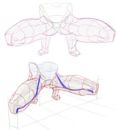 this image depicts two anatomical sketches of the human body with a focus on muscle structure for artists. the top sketch provides a front view of the legs and torso, while the bottom sketch showcases a side view with blue lines highlighting specific muscle groups. both sketches are drawn in a simplified style typical for tutorials, using lines and shading to represent form and volume.
