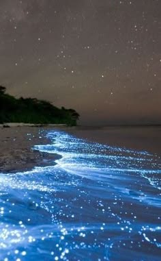 a stunning night scene of a bioluminescent beach, the waves gently lapping at the shore, illuminating the water with an ethereal blue glow. the night sky is adorned with a myriad of twinkling stars, casting a soft light on the landscape. the scene is serene and magical, creating a sense of awe and wonder.