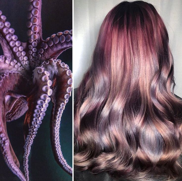 a woman with long, wavy hair dyed in shades of pink, purple, and grey, which mimics the color pattern of an octopus.  the woman's hair is parted down the center and falls over her shoulders. the octopus is seen in the left side of the image, with its tentacles visible.  its skin is a purplishgrey color.  the octopus has suckerlike appendages.  the background of the image is a blurred background of light and dark tones. the woman's hair is the main focus of the image.