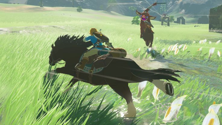 a screenshot from the legend of zelda: breath of the wild depicting link riding a horse at a gallop through a grassy field filled with calla lilies. he is being chased by a bokoblin on horseback.  the scene is set in a pastoral landscape with ruins in the background. the overall feel is one of action and adventure.